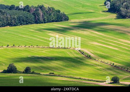 Blick auf den Aussichtsturm Spulka bei Lbosin in Tschechien, 18. Juli 2021. Stockfoto