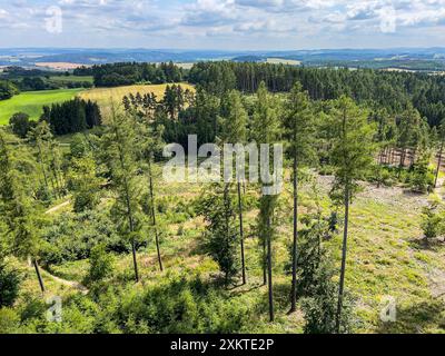 Blick auf den Aussichtsturm Spulka bei Lbosin in Tschechien, 18. Juli 2021. Stockfoto