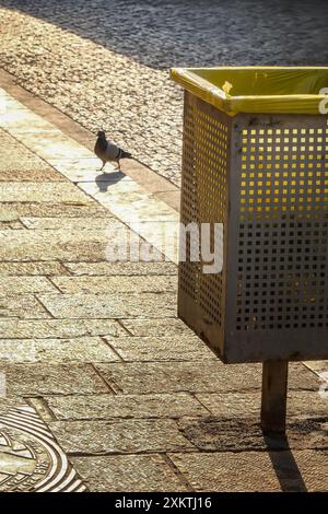Minimalistisches Bild einer einzelnen Taube auf einem Gehsteig aus Beton neben einem Metallmüll. Stockfoto