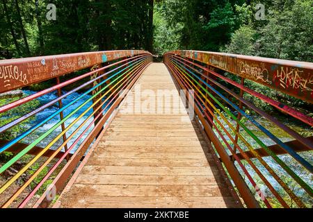 Farbenfrohe Graffiti-Brücke über den Fluss in üppiger Waldperspektive Stockfoto