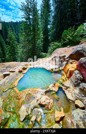 Türkisfarbene heiße Quelle im üppigen Wald Umpqua Hot Springs mit erhöhter Aussicht Stockfoto