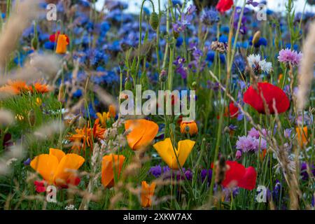 Hartlepool, atemberaubender Blick auf das Hartlepool Headland mit seinem historischen Leuchtturm, der zerklüfteten Küste und dem lebhaften Küstencharme. Stockfoto