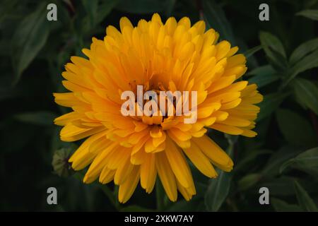 Hartlepool, atemberaubender Blick auf das Hartlepool Headland mit seinem historischen Leuchtturm, der zerklüfteten Küste und dem lebhaften Küstencharme. Stockfoto