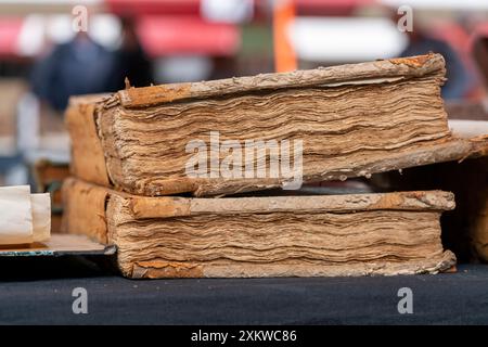 Bücher auf einem Marktstand auf der jährlichen Buchmesse in Dordrecht bieten eine vielfältige Auswahl an Genres und Autoren und ziehen begeisterte Leser und Sammler an Stockfoto