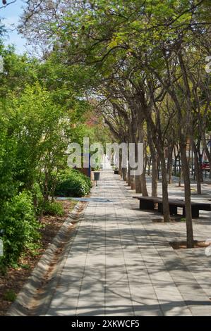 Ein von Bäumen und Bänken gesäumter Fußweg bietet einen friedlichen Spaziergang in einer urbanen Umgebung - perfekt, um dem Trubel der Stadt zu entfliehen. Stockfoto