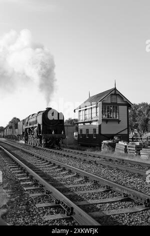 '92212' läuft als '92178' bei Quorn and Woodhouse mit gemischten Waren. Stockfoto