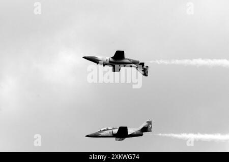 Spanisches Luftstreitteam Patrulla Aguila. Der Flug besteht aus 7 FLUGZEUGEN DES TYPS CASA C-101 Aviojet. Stockfoto