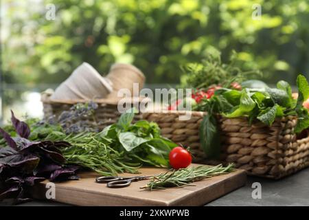 Verschiedene aromatische Kräuter, Gemüse, Scheren und Fäden auf grauem Tisch, Nahaufnahme Stockfoto