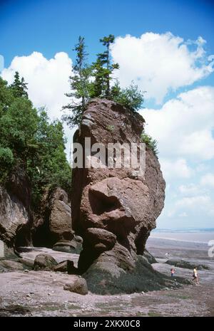 KANADA - erodierter Fels - Flower Pot Rock, in der Tiefe Stockfoto