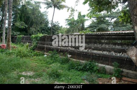 Hühnerfarm, Südindien, Eierproduktionseinheit Stockfoto