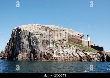 Bass Rock - ein vulkanischer Stumpf, ein bedeutender historischer Seevögel Stockfoto