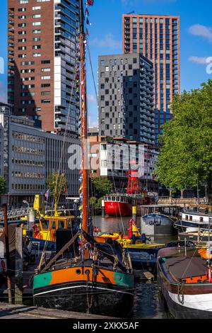 Das Maritime Museum, Außenbereich im Leuvehaven, in Rotterdam, viele alte Schiffe, Boote, Exponate aus dem maritimen Sektor, Niederlande, Stockfoto