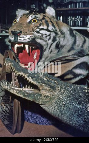 Tiermaterial zum Verkauf in Singapur im Jahr 1976 Stockfoto