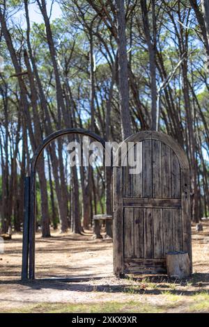 Alte Holztür und Türrahmen mit einem Kiefernwald im Hintergrund. Stockfoto