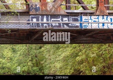 Eisenbahnbrücken und Wald in Port Coquitlam, Kanada Stockfoto