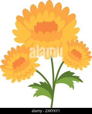 Blühende Ringelblume Stock Vektor