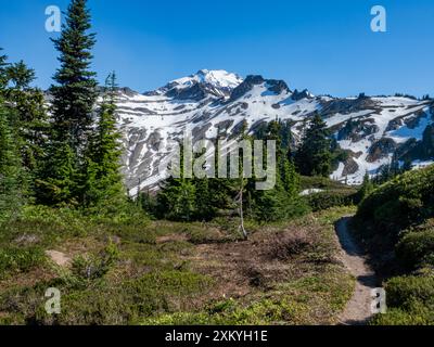 WA25547-00...WASHINGTON - der Pacific Crest Trail verläuft um die Nordseite des Glacier Peak, Glacier Peak Wilderness. Stockfoto