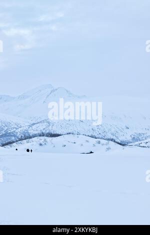 Bewölkter Himmel über weißen Bergen an einem kalten Wintertag in der Nähe der Castner Cave in Alaska. Stockfoto