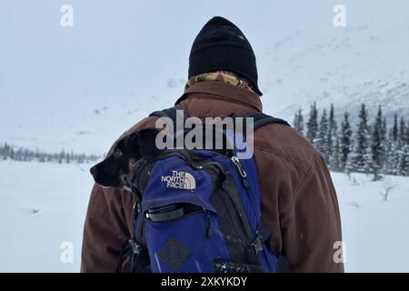 Delta Junction, Alaska - 14. Januar 2024: Mann mit einem Welpen in einem Rucksack während einer Wanderung im Schnee zur Castner Cave an einem Wintertag in Alaska. Stockfoto