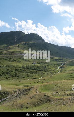 Puerto de la Bonaigua in Alt Aneu, Pallars, übertrifft Sorpe Paseo, Katalonien. Stockfoto