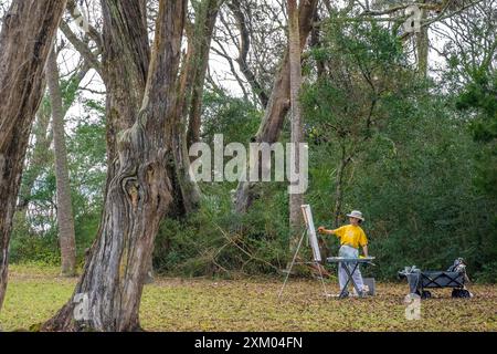 Plein Luftmaler auf dem Gelände der Kingsley Plantation entlang der Gezeitensalzmarsche des Fort George River in Jacksonville, Florida. (USA) Stockfoto