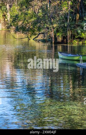 Panoramablick im Wekiwa Springs State Park in Apopka, Florida, in der Nähe von Orlando. (USA) Stockfoto