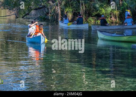 Im Wekiwa Springs State Park in Apopka, Florida, in der Nähe von Orlando, können Besucher Kanus auf dem Wekiwa River paddeln. (USA) Stockfoto