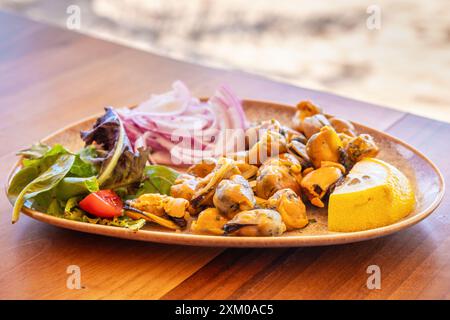 Teller mit gebackenen Muscheln in einem Café am Meer. Bulgarien Stockfoto