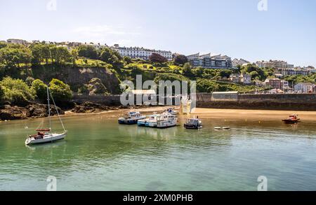 Blick hoch oben über den Hafen in der Küstenstadt Ilfracombe, North Devon Stockfoto