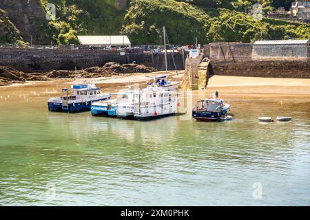 Blick hoch oben über den Hafen in der Küstenstadt Ilfracombe, North Devon Stockfoto