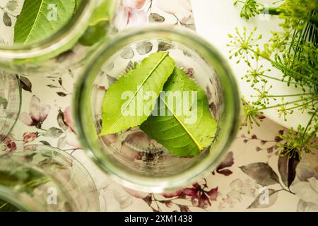 Fangen Sie die Essenz der hausgemachten Salz eingelegten Gurken mit frischen Kräutern und lebendigem Grün in sauberen Gläsern ein und präsentieren Sie einen idealen Profi Stockfoto