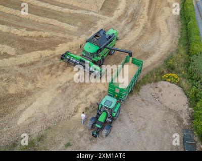 Wintergerstenernte bei Ballinspittle, Co. Cork, Juli 2024 Stockfoto