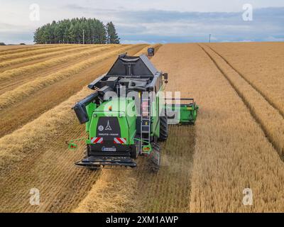 Wintergerstenernte bei Ballinspittle, Co. Cork, Juli 2024 Stockfoto