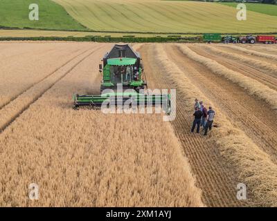 Wintergerstenernte bei Ballinspittle, Co. Cork, Juli 2024 Stockfoto