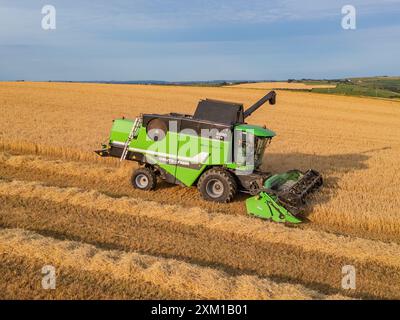 Wintergerstenernte bei Ballinspittle, Co. Cork, Juli 2024 Stockfoto