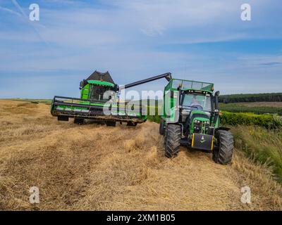 Wintergerstenernte bei Ballinspittle, Co. Cork, Juli 2024 Stockfoto