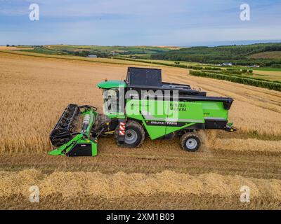 Wintergerstenernte bei Ballinspittle, Co. Cork, Juli 2024 Stockfoto