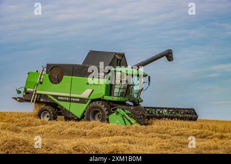 Wintergerstenernte bei Ballinspittle, Co. Cork, Juli 2024 Stockfoto