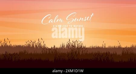Wiesen-Silhouetten mit Gras. Landschaft, Panoramablick Sommerrasen ländliche Landschaft mit Kräutern, Unkraut. Landwirtschaft und Landwirtschaft. Sommer Sonnenuntergang in der Natur Stock Vektor