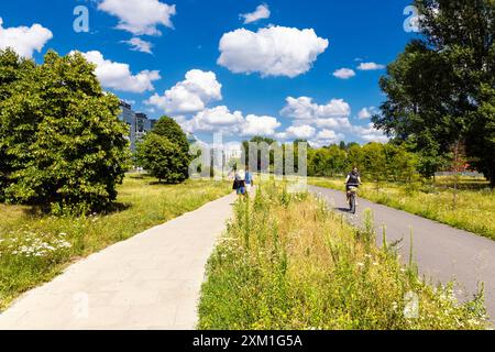 Zwischen Fußgänger- und Radweg in einer Stadt gepflanzte Wildblumenwiese (Park Pięciu Sióstr, Warschau, Polen) Stockfoto