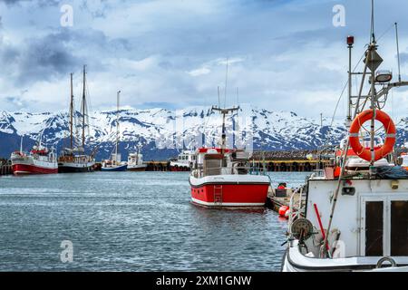 Farbenfrohe rot-weiße Fischerboote im Hafen der kleinen Stadt Husavik im Norden Islands Stockfoto