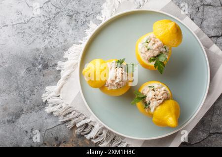 Vorspeise mit gefüllten Zitronen mit Fisch, Eiern, Gemüse und Frischkäse in Nahaufnahme auf einem Teller auf dem Tisch. Horizontale Draufsicht von oben Stockfoto