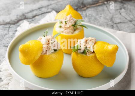 Vorspeise mit gefüllten Zitronen mit Fisch, Eiern, Gemüse und Frischkäse in Nahaufnahme auf einem Teller auf dem Tisch. Horizontal Stockfoto