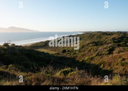 Blick auf Kapiti Island vom Queen Elizabeth Park in Kapiti, Neuseeland Stockfoto