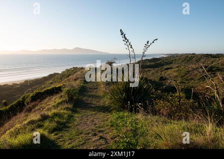 Blick auf Kapiti Island vom Queen Elizabeth Park in Kapiti, Neuseeland Stockfoto