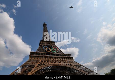 Paris, Ile de France, Frankreich. Juli 2024. Vögel fliegen am Mittwoch, den 24. Juli 2024, in Paris um den Effel-Turm. (Kreditbild: © Paul Kitagaki, Jr./ZUMA Press Wire) NUR REDAKTIONELLE VERWENDUNG! Nicht für kommerzielle ZWECKE! Stockfoto