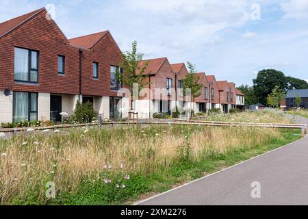 Amber Parkside, neue Wohnsiedlung neben Knowle Park am Rande von Cranleigh, Surrey, England, Großbritannien. Neue Häuser Häuser Häuser Immobilien Wohnen Stockfoto