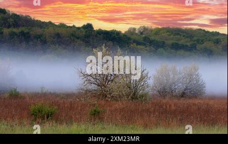 Morgenlandschaft mit Nebel über Wiese in Steppe Stockfoto