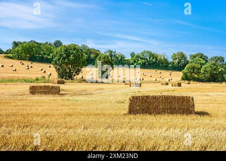 Ackerland mit runden und rechteckigen Strohballen nach der Ernte - Zentralfrankreich. Stockfoto