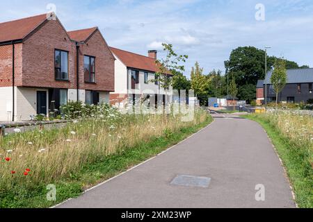 Amber Parkside, neue Wohnsiedlung neben Knowle Park am Rande von Cranleigh, Surrey, England, Großbritannien. Neue Häuser Häuser Häuser Immobilien Wohnen Stockfoto